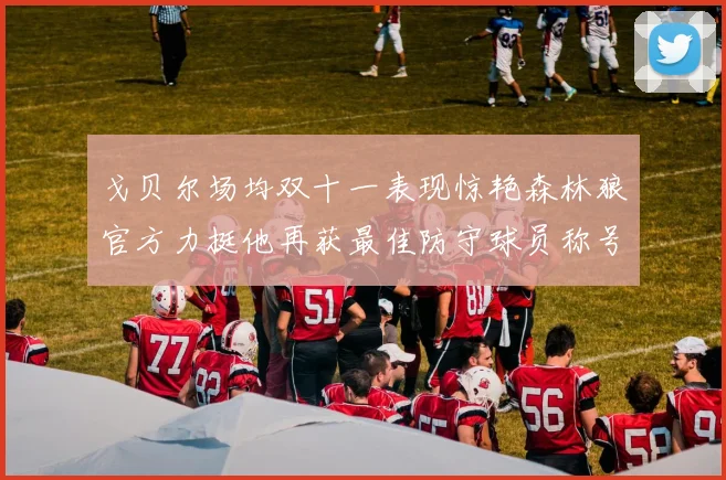 戈贝尔场均双十一表现惊艳森林狼官方力挺他再获最佳防守球员称号