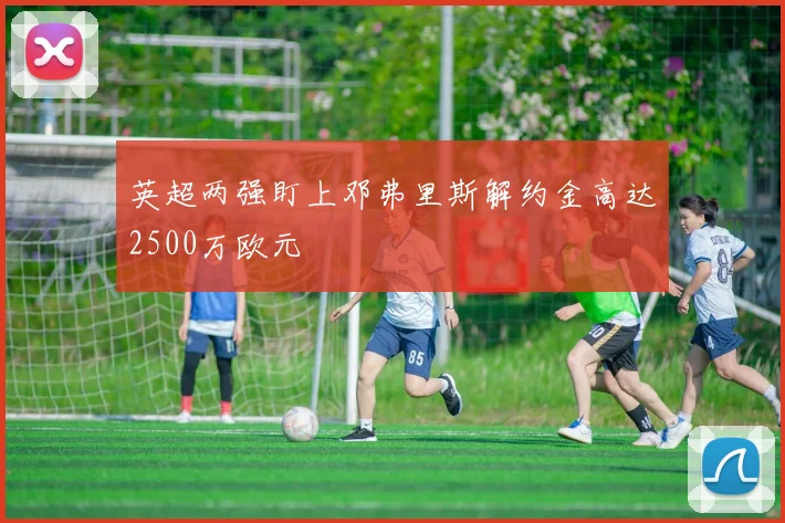 英超两强盯上邓弗里斯解约金高达2500万欧元
