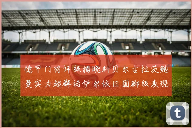 德甲门将评级揭晓科贝尔古拉茨鲍曼实力超群诺伊尔依旧国脚级表现引关注
