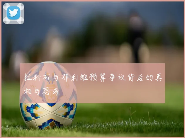 拉科布与邓利维预算争议背后的真相与思考
