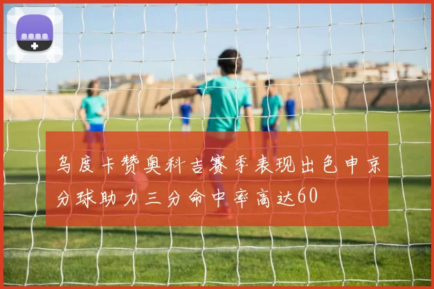 乌度卡赞奥科吉赛季表现出色申京分球助力三分命中率高达60