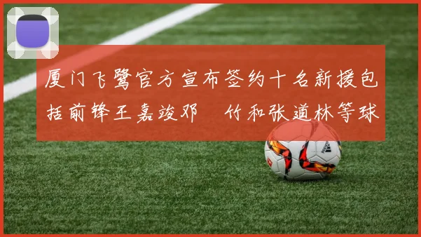 厦门飞鹭官方宣布签约十名新援包括前锋王嘉竣邓棽竹和张道林等球员